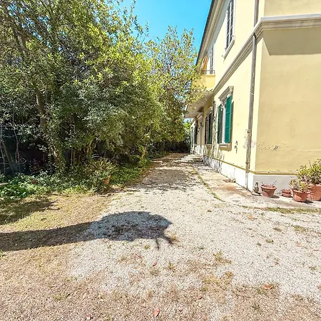 Merlini - Mare In Pineta San Benedetto del Tronto