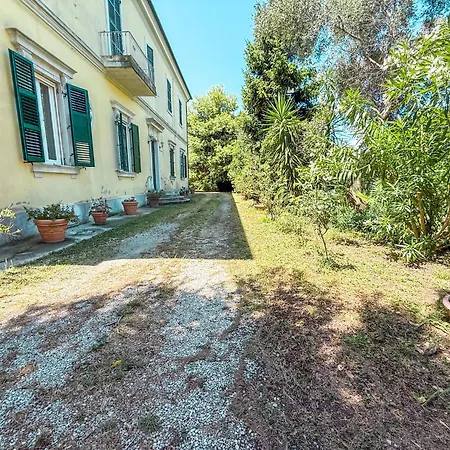 Merlini - Mare In Pineta *