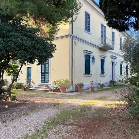 Merlini - Mare In Pineta